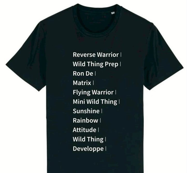 Updog 男款有袖T-shirt